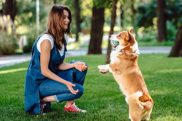 portrait-of-woman-with-dog-welsh-corgi-pembroke-FGH6B9Y.jpg