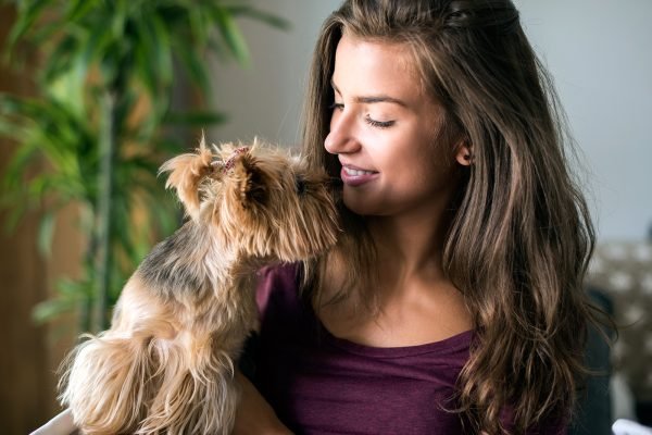 strong-bond-between-a-woman-and-her-cute-dog-XBHUGZH.jpg